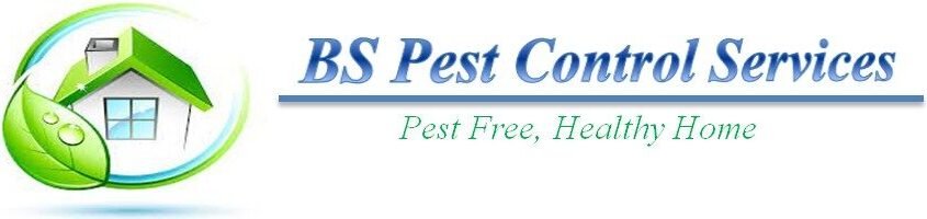 cropped pest control logo letterhead 3.jpg