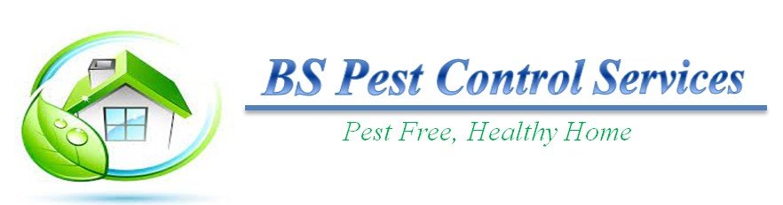 pest control logo letterhead (3)