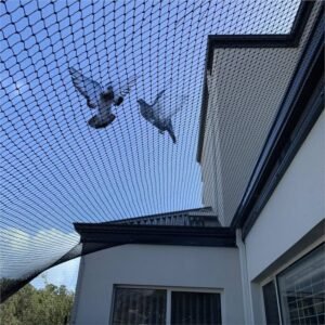 811jzsrptbl. uf1000,1000 ql80