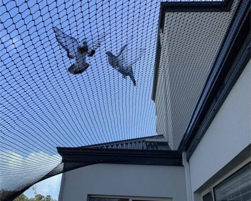 811jzsrptbl. uf1000,1000 ql80