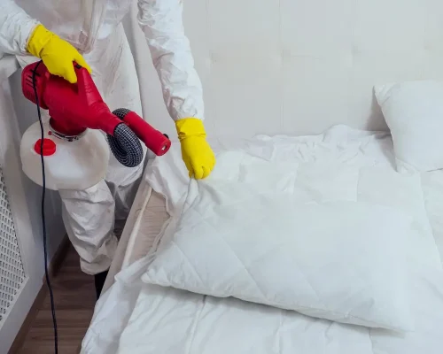 bedbug control