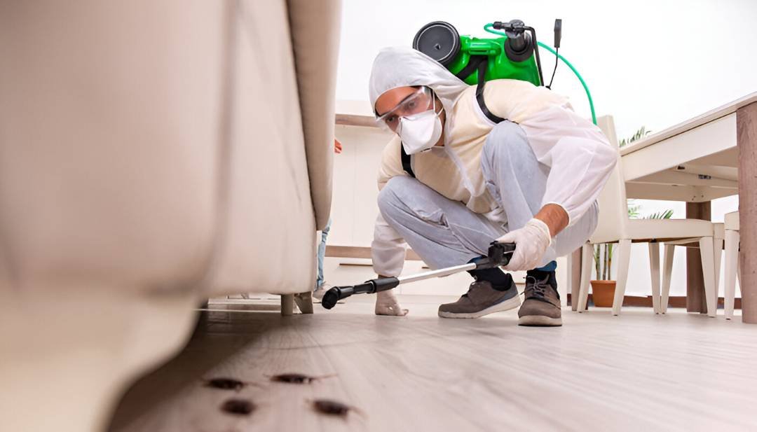 Reliable Pest Control Companies In India 1